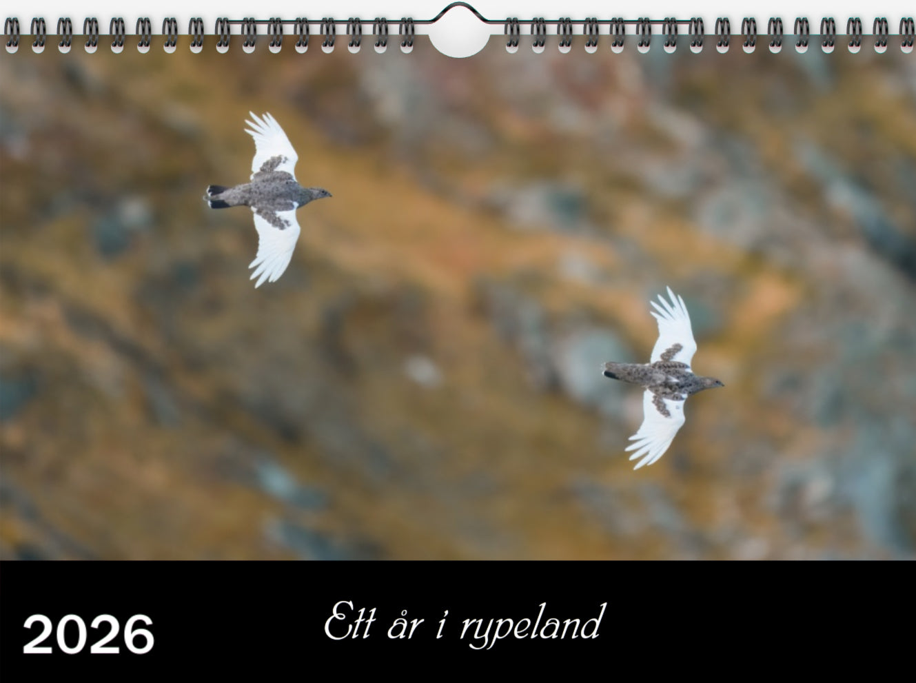 Ett år i rypeland (2026)