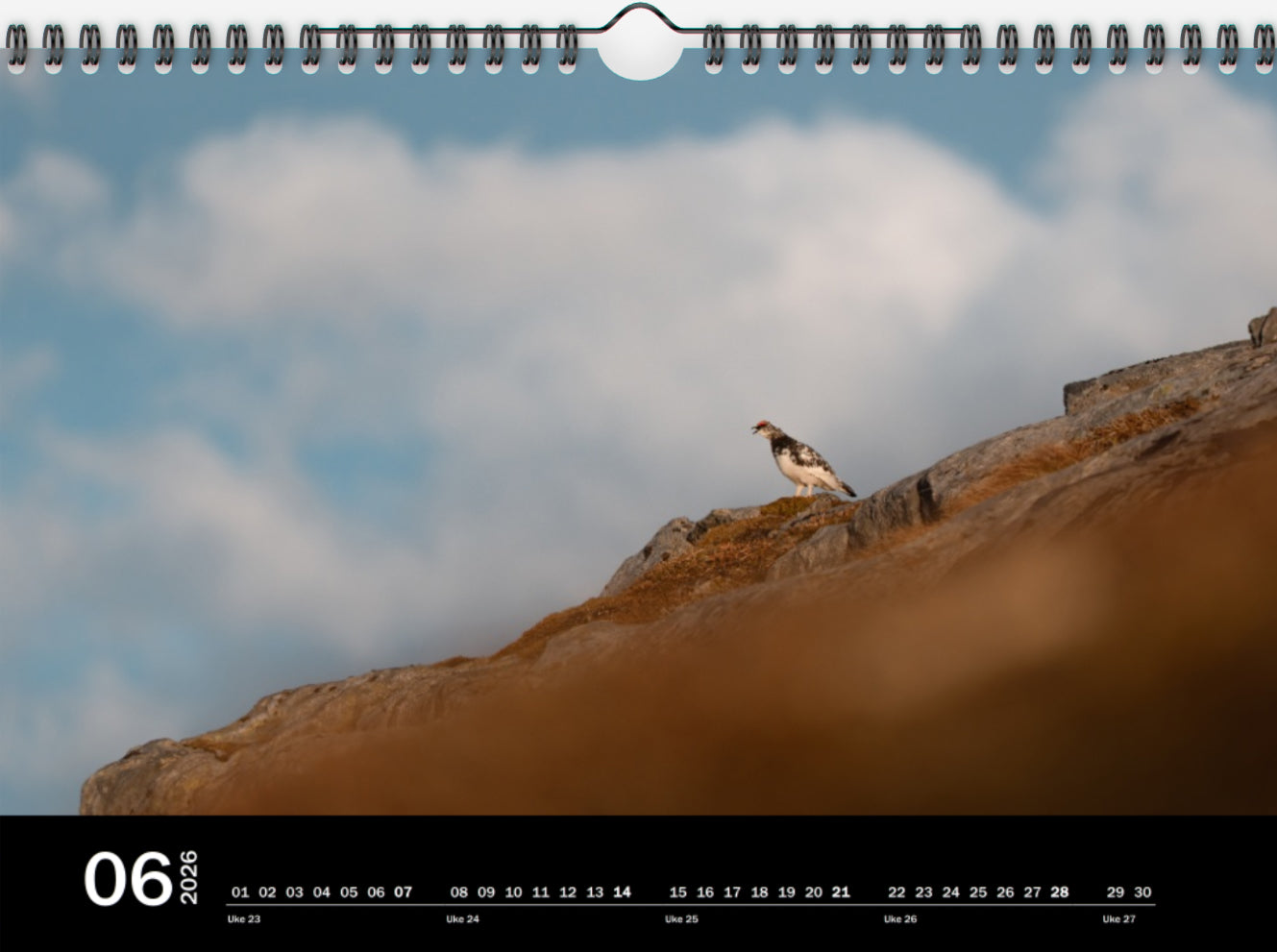 Ett år i rypeland (2026)