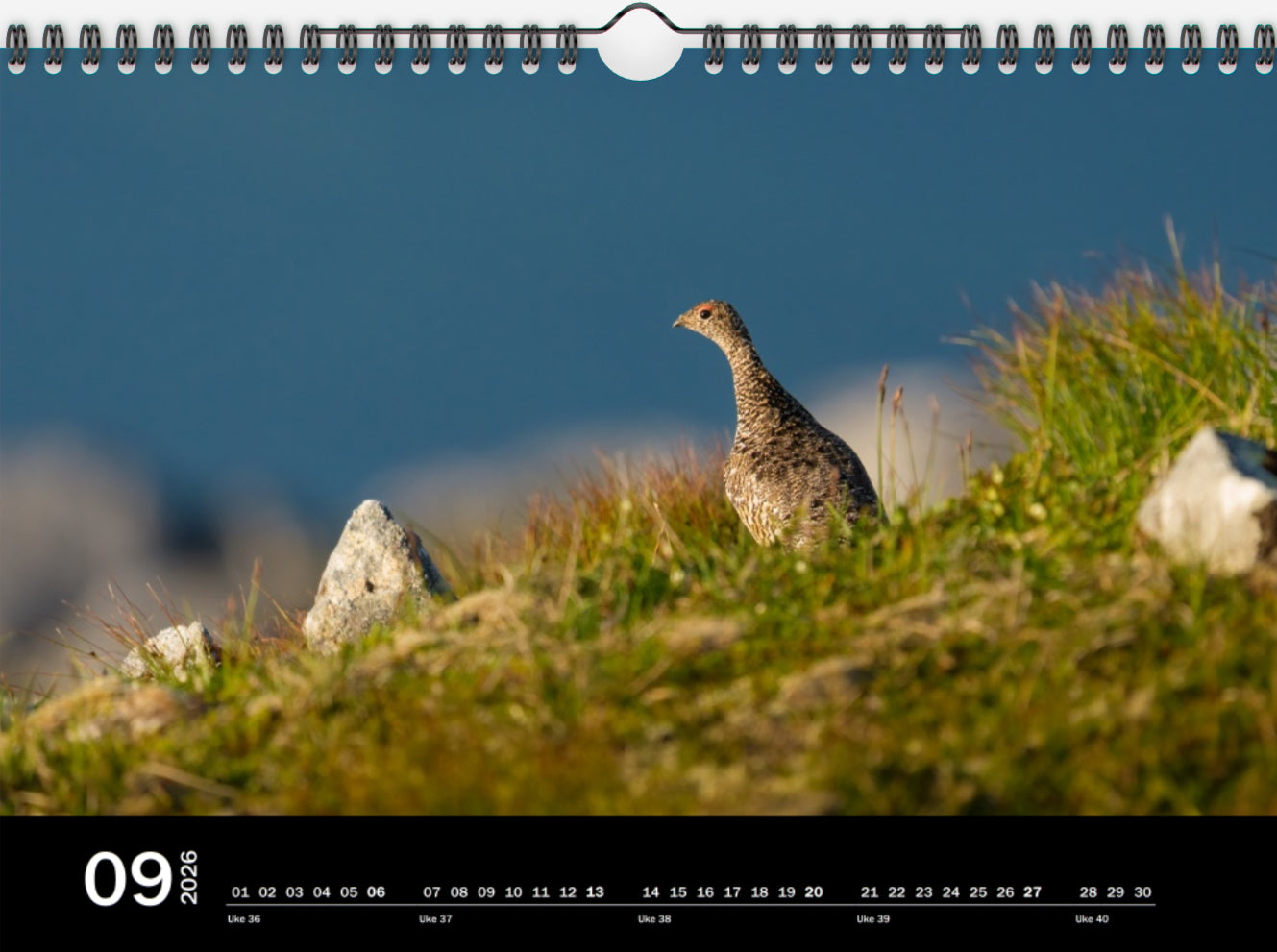 Ett år i rypeland (2026)