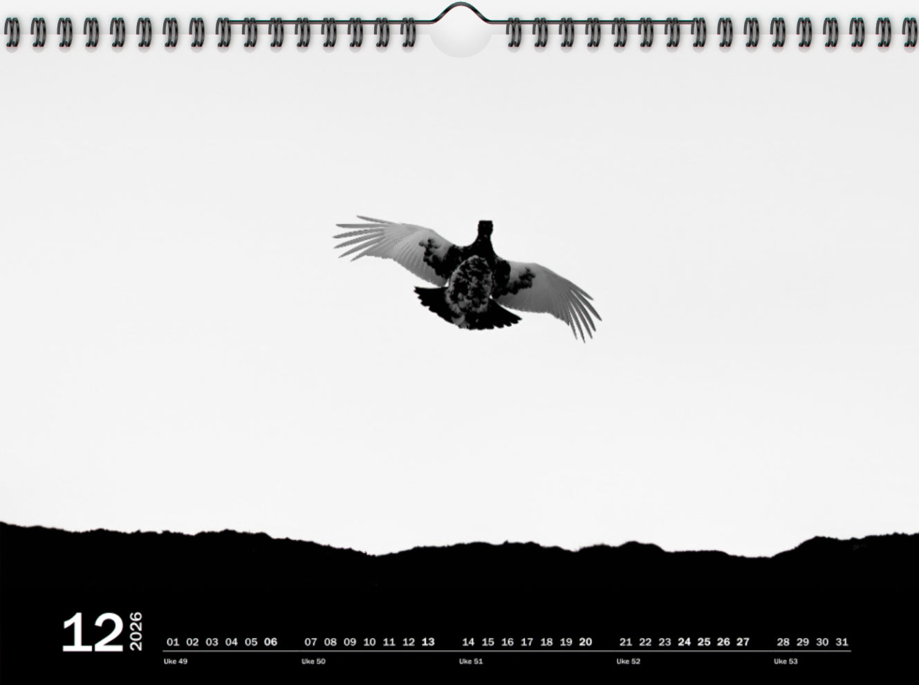 Ett år i rypeland (2026)